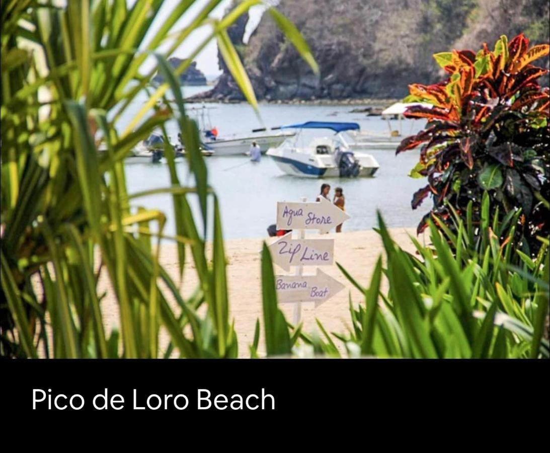 Pico De Loro 2 Bd Garden Loft With Lagoon View 纳苏格布 外观 照片